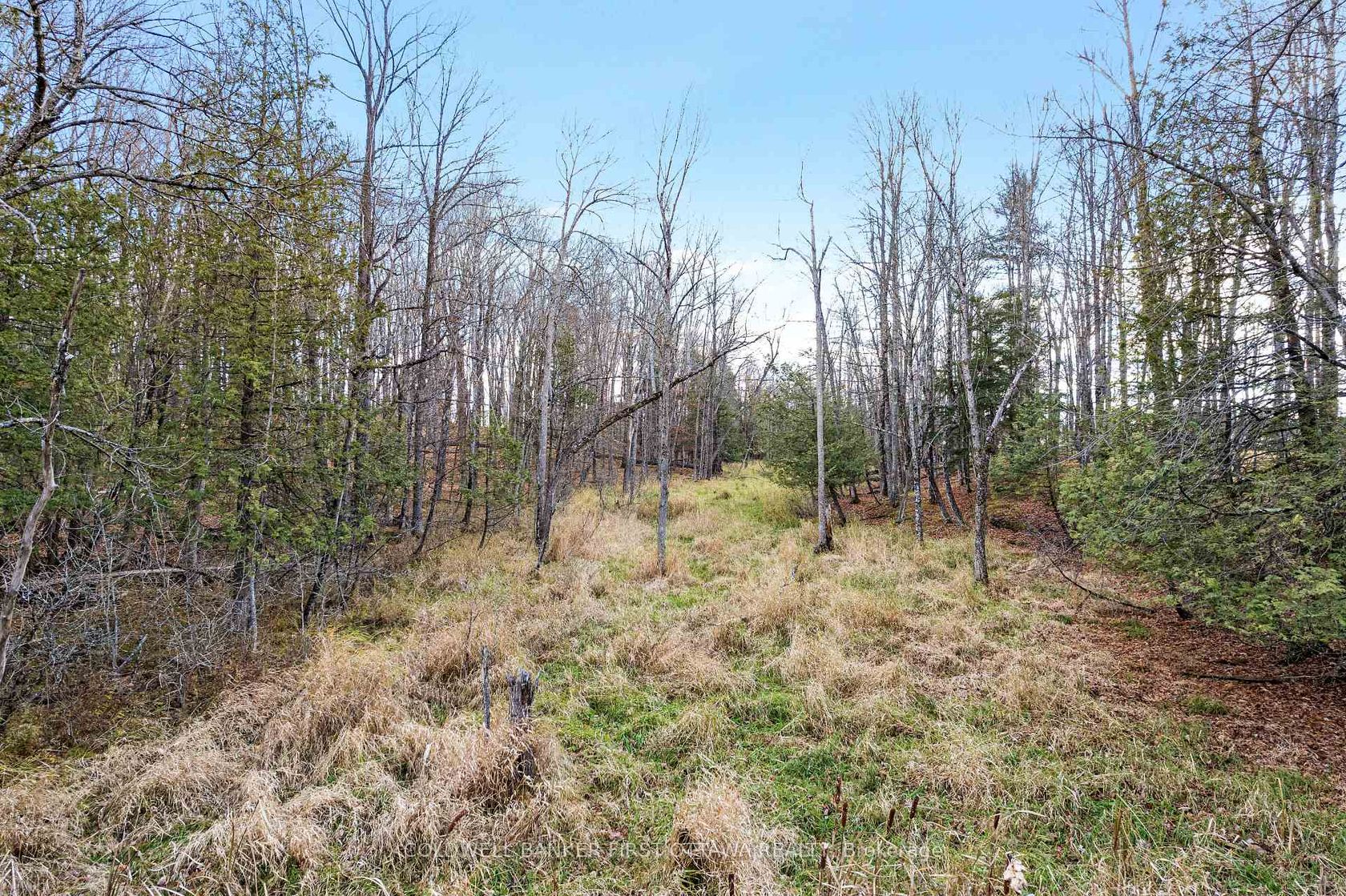 PT 1-00 Herron Mills Road, Lanark Highlands (Lanark) Twp, Lanark Highlands 2