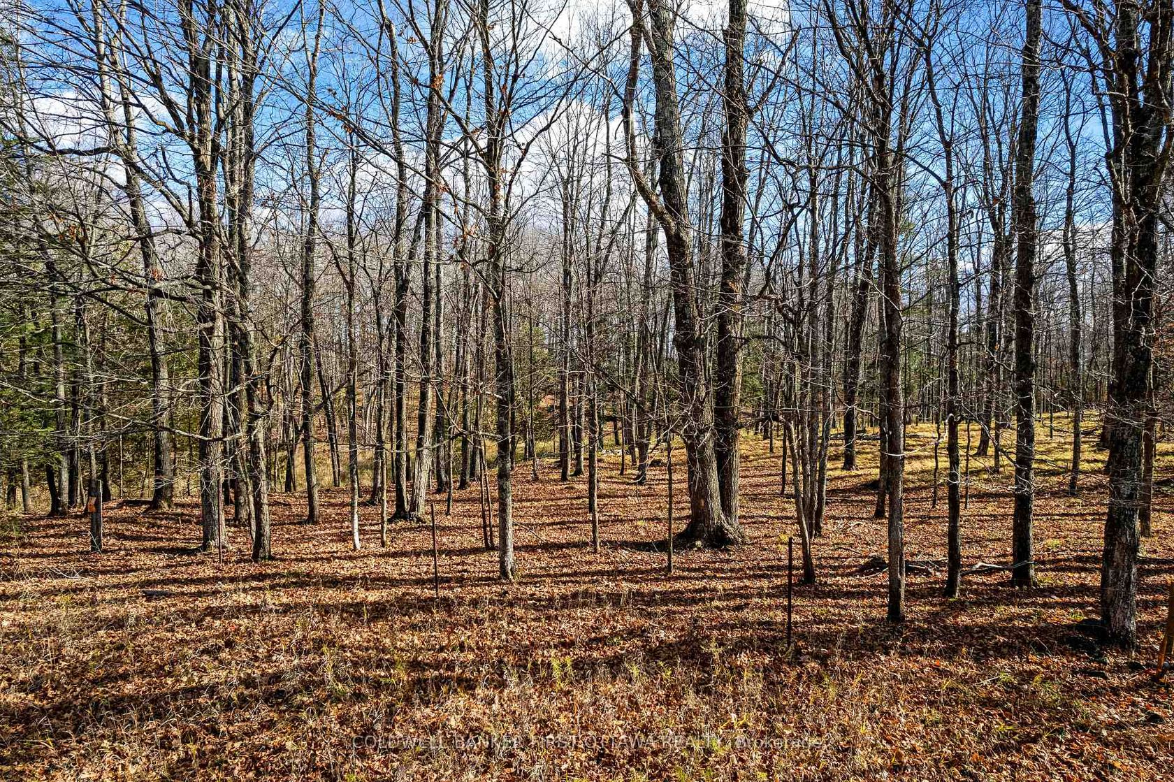 PT 3-00 Herron Mills Road, Lanark Highlands (Lanark) Twp, Lanark Highlands 2