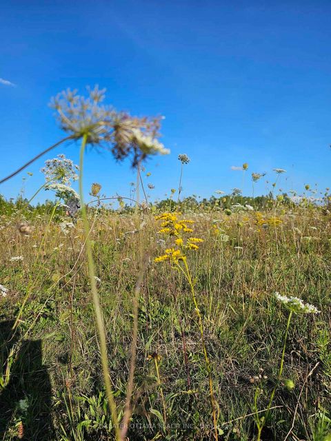 Photo 1 at B22/103 GRAHAM Road, Beckwith Twp, Beckwith