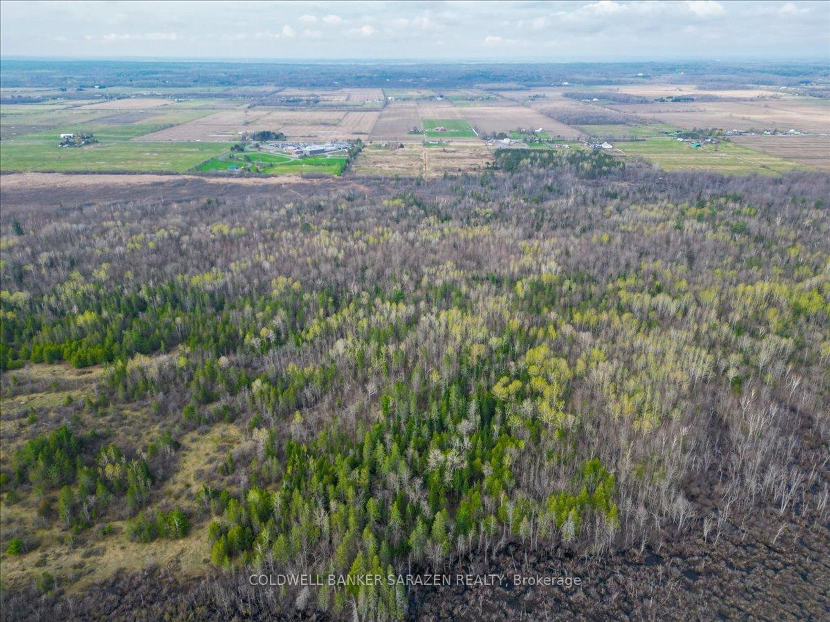 3110 Dunrobin Road, Dunrobin Shores, Constance Bay 2