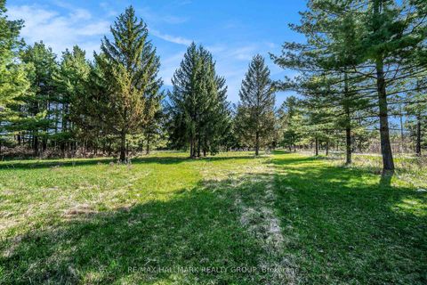 Photo 4 at 942 Cameron Street, Cumberland Village, Orleans