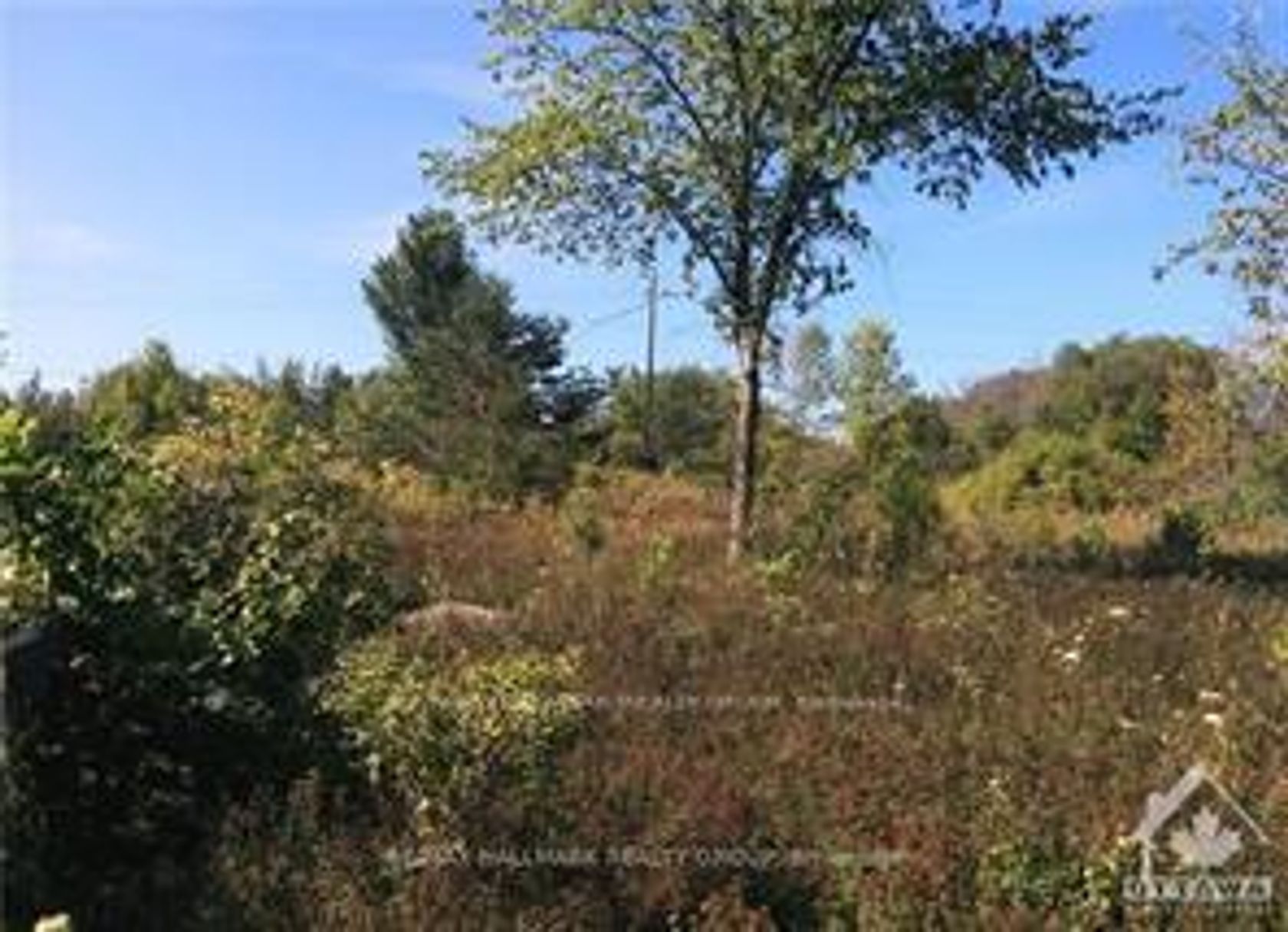 49 Rideau Avenue N, Montague Twp, Montague 2