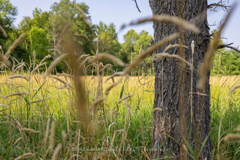 Photo 7 at 752 Bennett Lake Road, Bathurst/Burgess & Sherbrooke (Bathurst) Twp, Tay Valley