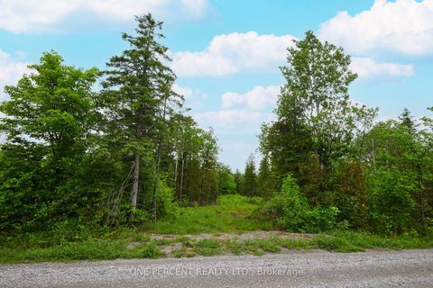 Photo 2 at 622 Kings Creek Road, Beckwith Twp, Beckwith