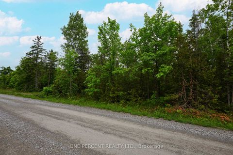 Photo 4 at 622 Kings Creek Road, Beckwith Twp, Beckwith