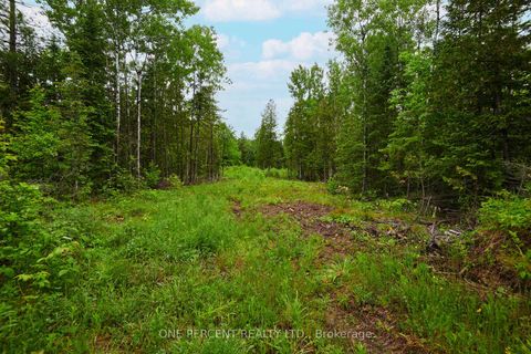 Photo 5 at 622 Kings Creek Road, Beckwith Twp, Beckwith