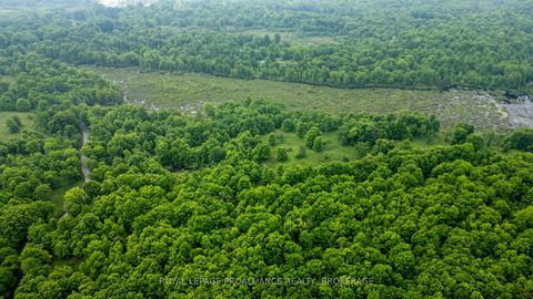 Photo 12 at 384 Big Crosby Lake Road, Rideau Lakes (North Crosby) Twp, Rideau Lakes