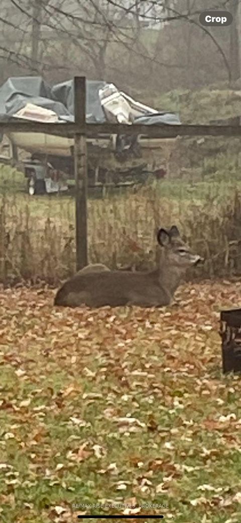 Photo 37 at 8 New Street, Rideau Lakes (Newboro) Twp, Rideau Lakes