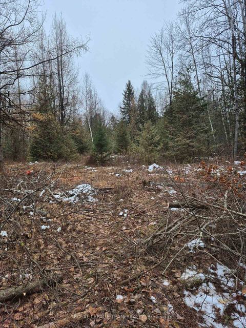 Photo 2 at 2819 Cowell Road, Rideau Twp S of Reg Rd 6 W of Mccordick Rd., Manotick