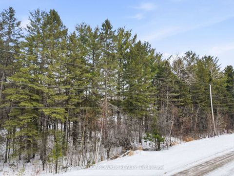 Photo 11 at Lot 69 Drummond Concession 5B Road, Drummond N Elmsley (Drummond) Twp, Drummond/North Elmsley