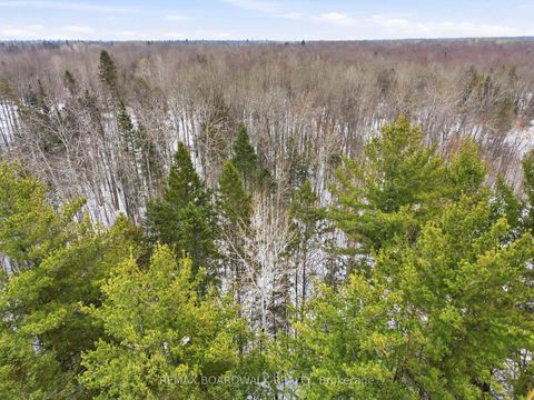 Photo 12 at Lot 69 Drummond Concession 5B Road, Drummond N Elmsley (Drummond) Twp, Drummond/North Elmsley