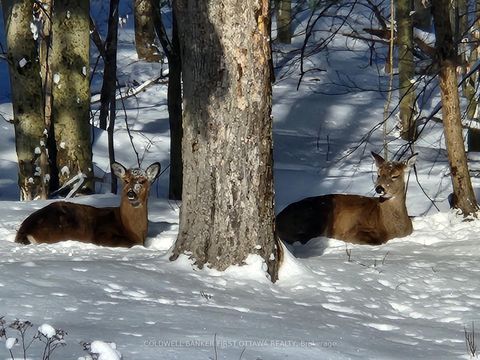 Photo 1 at 155 Maplebush Trail, Drummond/North Elmsley (North Elmsley) Twp, Drummond/North Elmsley