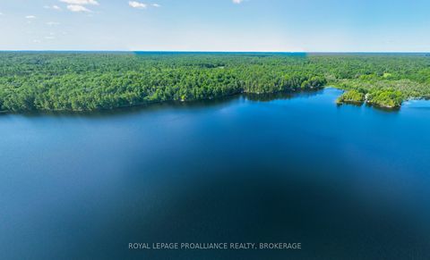 Photo 6 at 142 Paddy's Lane, Rideau Lakes (North Crosby) Twp, Rideau Lakes