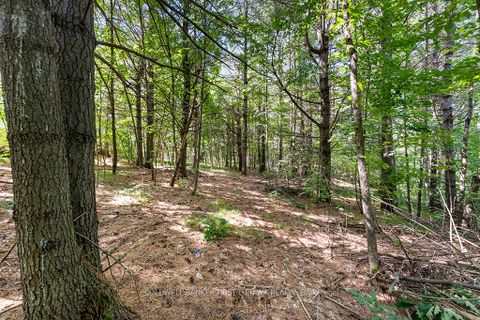 Photo 6 at 115 Doran Road, Bathurst/Burgess & Sherbrooke (Bathurst) Twp, Tay Valley