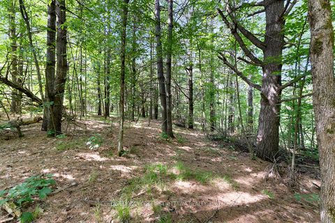 Photo 7 at 115 Doran Road, Bathurst/Burgess & Sherbrooke (Bathurst) Twp, Tay Valley