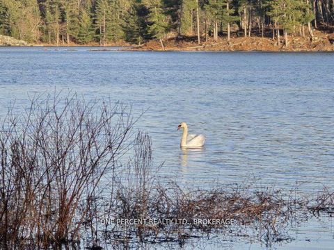 Photo 14 at 368 Troy Lake Road, Rideau Lakes (South Crosby) Twp, Rideau Lakes