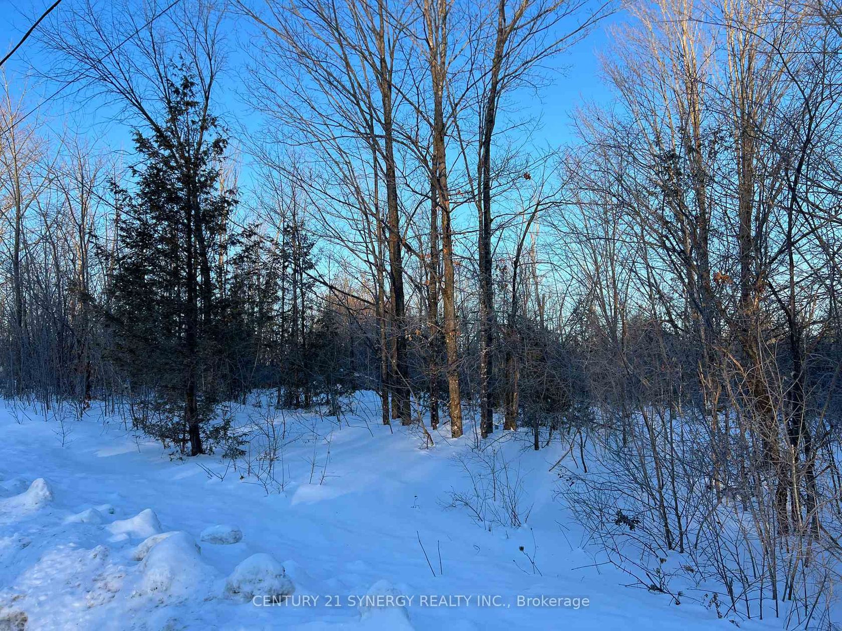 00 MCLACHLIN Road, Beckwith Twp, Beckwith 2