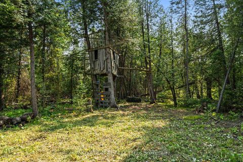 Photo 34 at 845 Pinery Road, Montague Twp, Montague