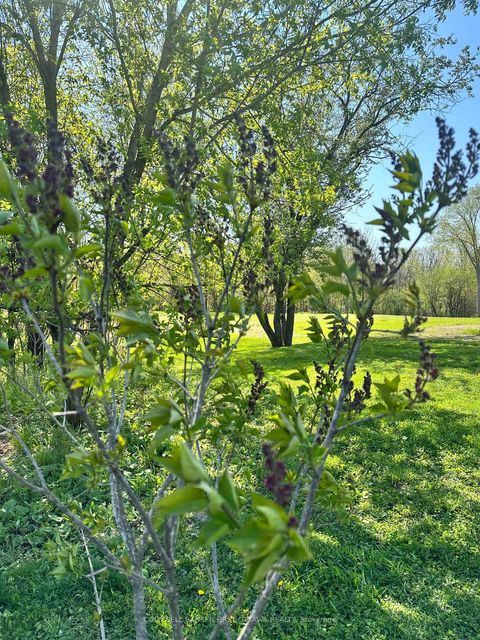 Photo 32 at 121 Ernest Way, Bathurst/Burgess & Sherbrooke (Bathurst) Twp, Tay Valley