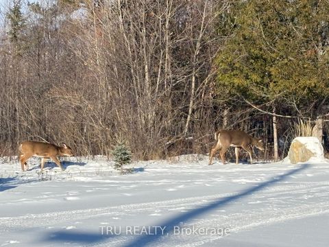 Photo 2 at 3024 Stoneridge Road, Dunrobin Shores, Constance Bay