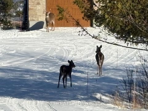 Photo 3 at 3024 Stoneridge Road, Dunrobin Shores, Constance Bay