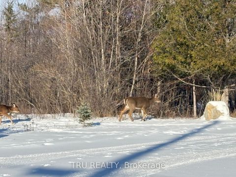 Photo 4 at 3024 Stoneridge Road, Dunrobin Shores, Constance Bay