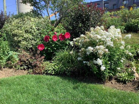 Photo 33 at 59 Johanna Street, Almonte, Mississippi Mills