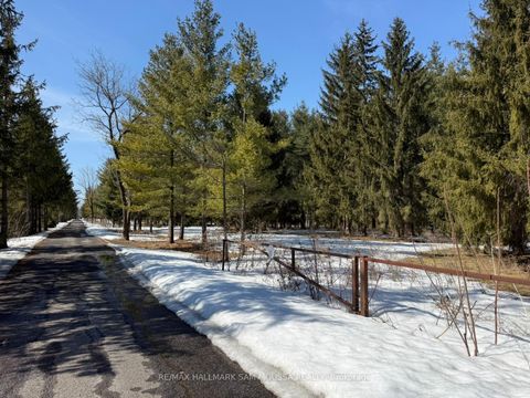 Photo 3 at 970 Cameron Street, Cumberland Village, Orleans