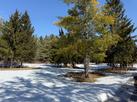 Photo 4 at 970 Cameron Street, Cumberland Village, Orleans