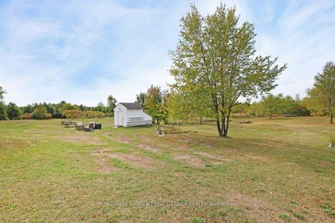 Photo 25 at 1181 Holbrook Road, Montague Twp, Montague