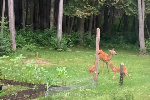 Photo 43 at 941 Corkery Road, Huntley Ward (South West), Carp