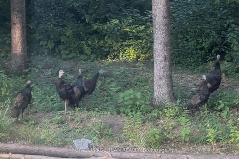 Photo 44 at 941 Corkery Road, Huntley Ward (South West), Carp