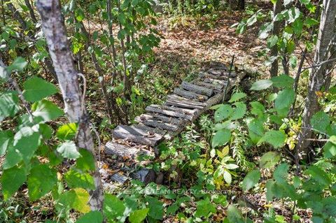 Photo 45 at 524 Osmond Daley Drive, Huntley Ward (South East), Carp