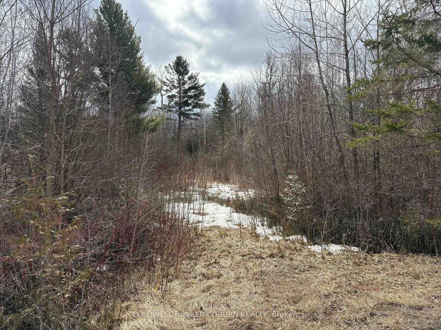 2035 Ventnor Road, Edwardsburgh/Cardinal Twp, Edwardsburgh/Cardinal 2