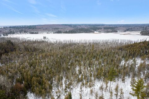 Photo 9 at 00 Wolf Grove PT LT 15 Road, Lanark Highlands (Lanark) Twp, Lanark Highlands