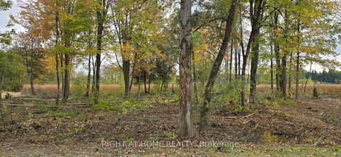 Photo 8 at  Sutherland Drive, Manotick South to Roger Stevens, Manotick