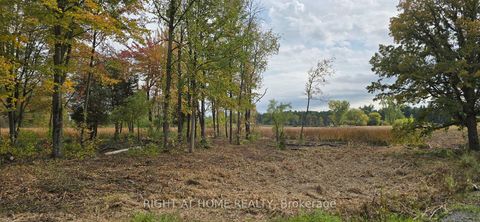 Photo 14 at  Sutherland Drive, Manotick South to Roger Stevens, Manotick