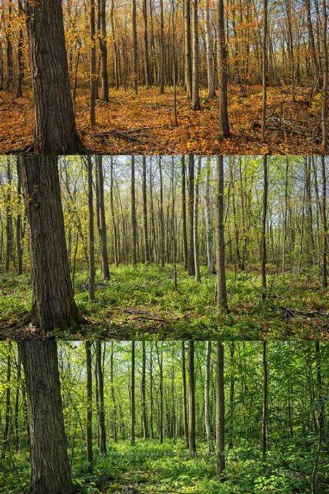 Photo 0 at 49 Cedar Sands Road, Rideau Lakes (South Crosby) Twp, Rideau Lakes