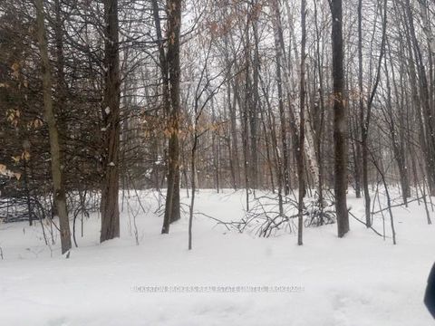 Photo 1 at 49 Cedar Sands Road, Rideau Lakes (South Crosby) Twp, Rideau Lakes