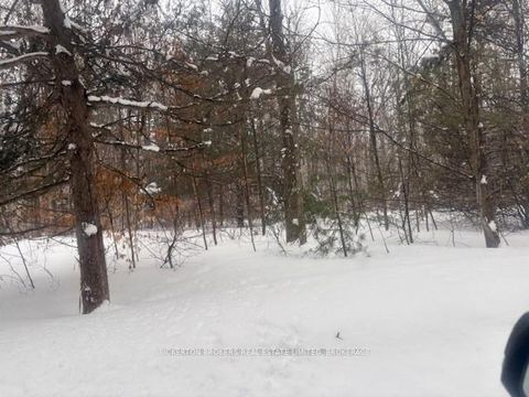 Photo 2 at 49 Cedar Sands Road, Rideau Lakes (South Crosby) Twp, Rideau Lakes