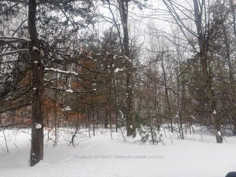 Photo 3 at 49 Cedar Sands Road, Rideau Lakes (South Crosby) Twp, Rideau Lakes