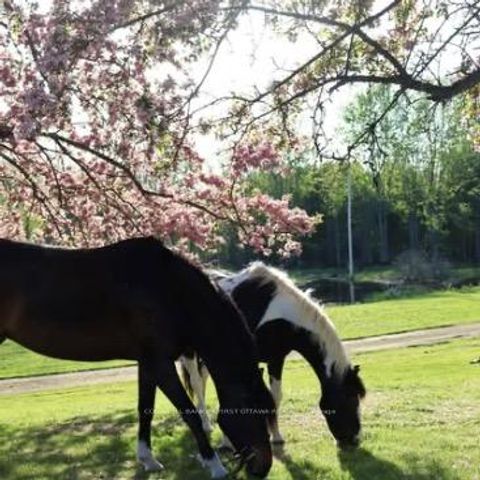 Photo 3 at 3750 Bass Road, Rideau Lakes (Bastard) Twp, Rideau Lakes