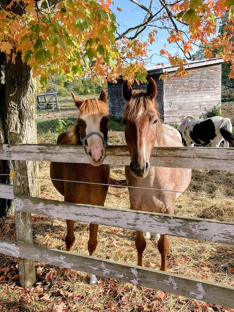Photo 49 at 3750 Bass Road, Rideau Lakes (Bastard) Twp, Rideau Lakes