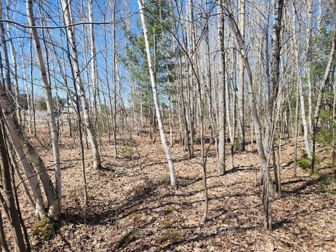 Photo 4 at 1581 Kinsella Drive, Cumberland Estates, Orleans