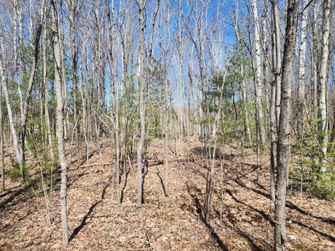 Photo 5 at 1581 Kinsella Drive, Cumberland Estates, Orleans