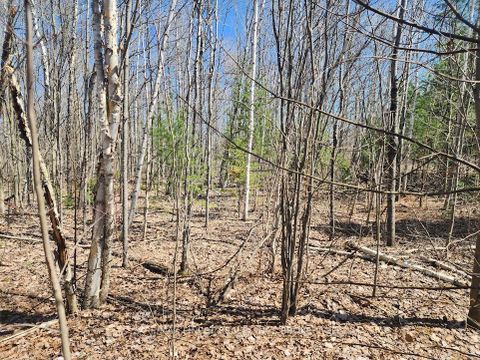 Photo 6 at 1581 Kinsella Drive, Cumberland Estates, Orleans