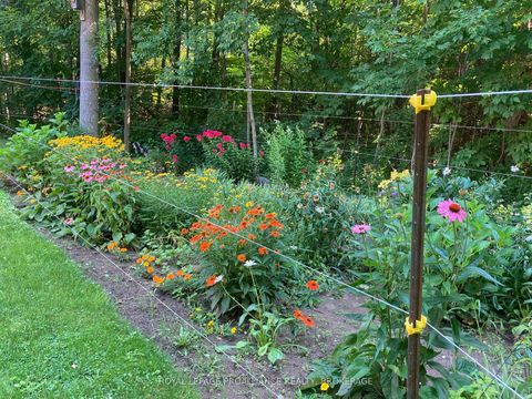 Photo 47 at 9889 Perth Road, Rideau Lakes (North Crosby) Twp, Rideau Lakes