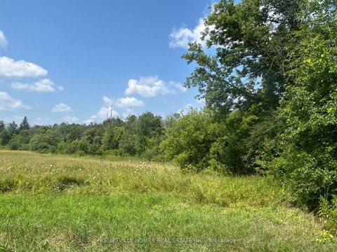 Photo 2 at 472 River Road, Burritts Rapids, Manotick