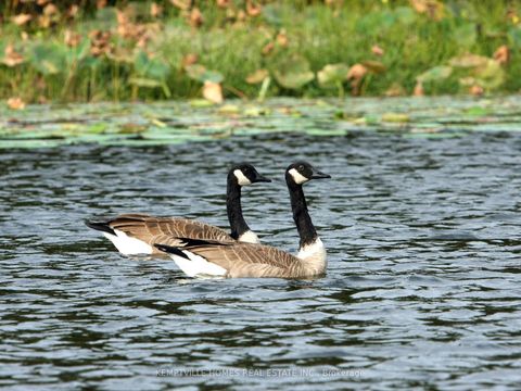 Photo 4 at 472 River Road, Burritts Rapids, Manotick