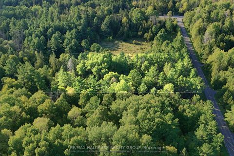 Photo 10 at 0 (B) HOMESTEADERS Road, Fitzroy, Carp